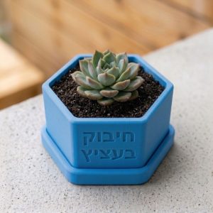 דובוני החלמה חיבוק בעציץ